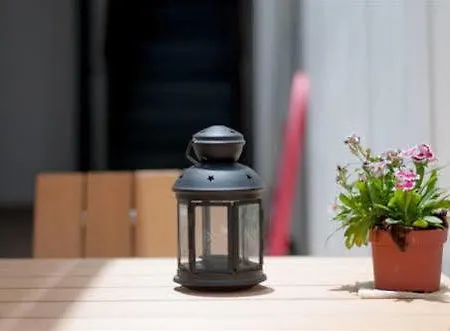 Pura Vida Palmas (adults Only) Las Palmas de Gran Canaria