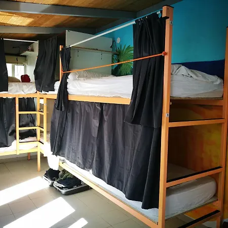 Pura Vida By Nest (Adults Only) *