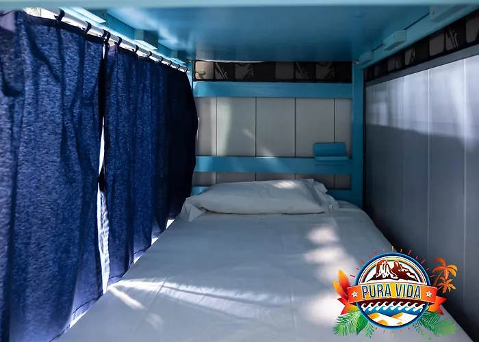 Pura Vida Palmas (adults Only) *