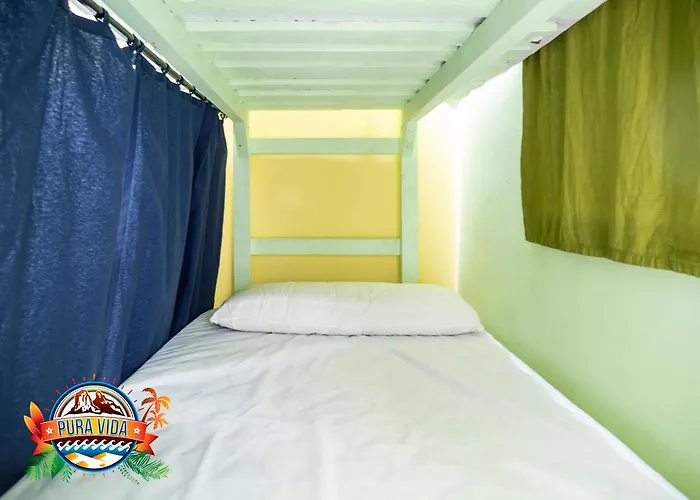 Pura Vida Palmas (adults Only)